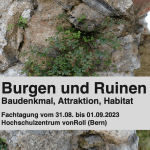 Tagung zum Thema Burgen und Ruinen, 31. August-1. September&nbsp;2023